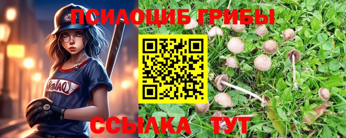 Санкт-Петербург  Галлюциногенные грибы прущие грибы  где найти наркотики  Вход с VPN 